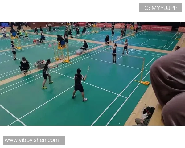 独家解析杭州羽毛球队灵活性优势与其他球队的全面对比分析